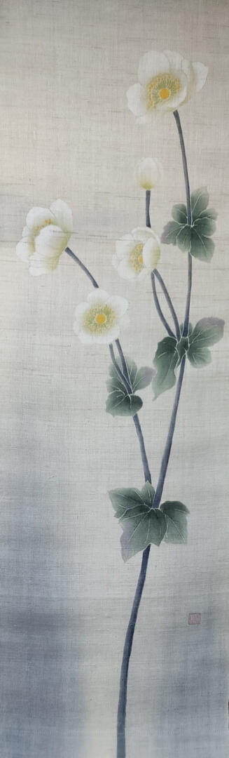 秋明菊